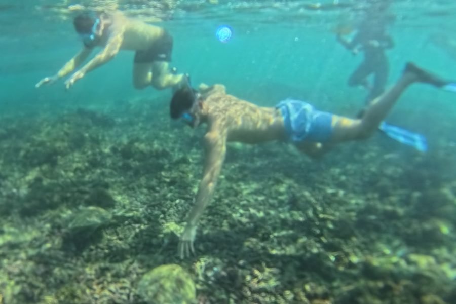 AL Daymaniyat Island Snorkeling Trip (Full Day)