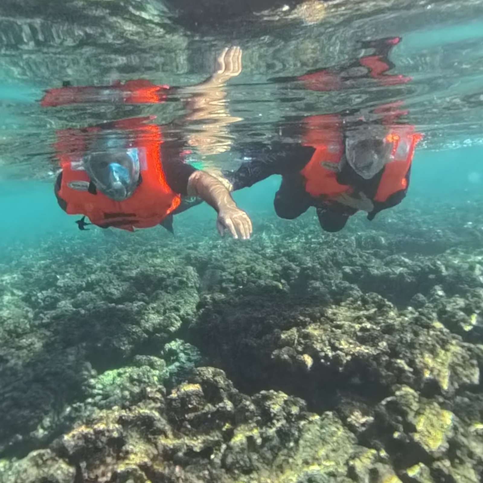 AL Daymaniyat Island Snorkeling Trip (Full Day)