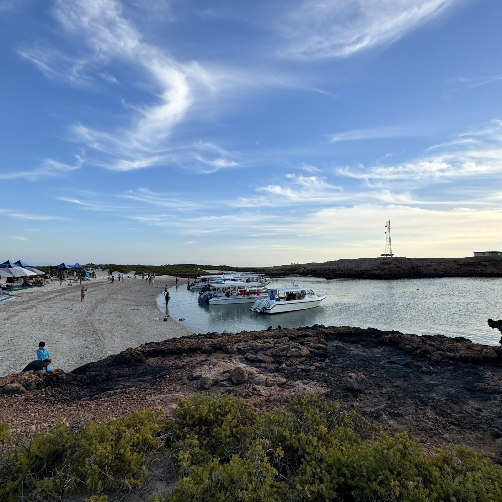 AL Daymaniyat Island Snorkeling Trip (Full Day)