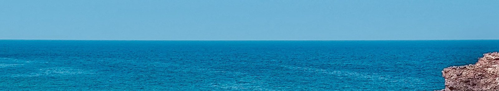 AL Daymaniyat Island Snorkeling Trip (Half Day)