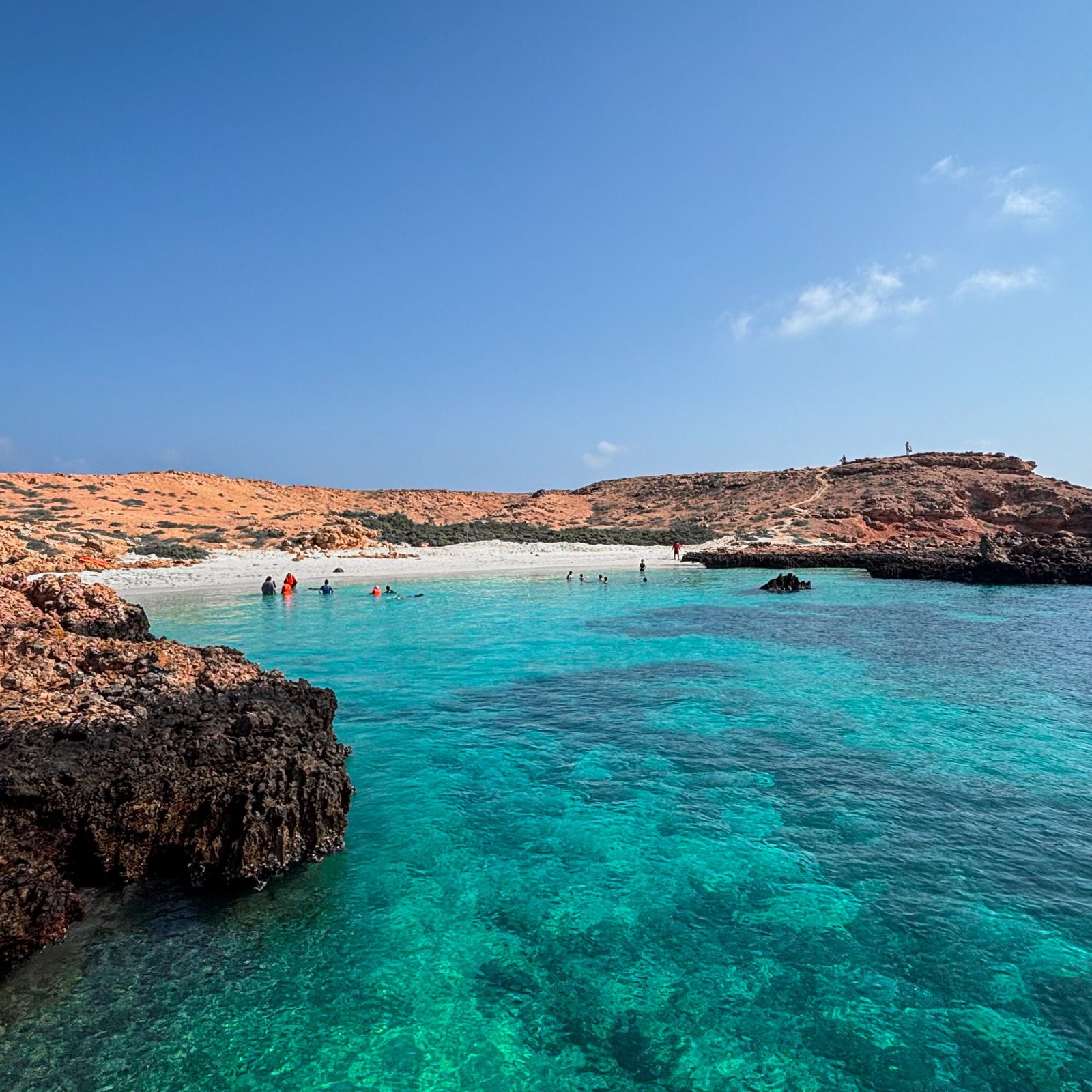 AL Daymaniyat Island Snorkeling Trip (Half Day)