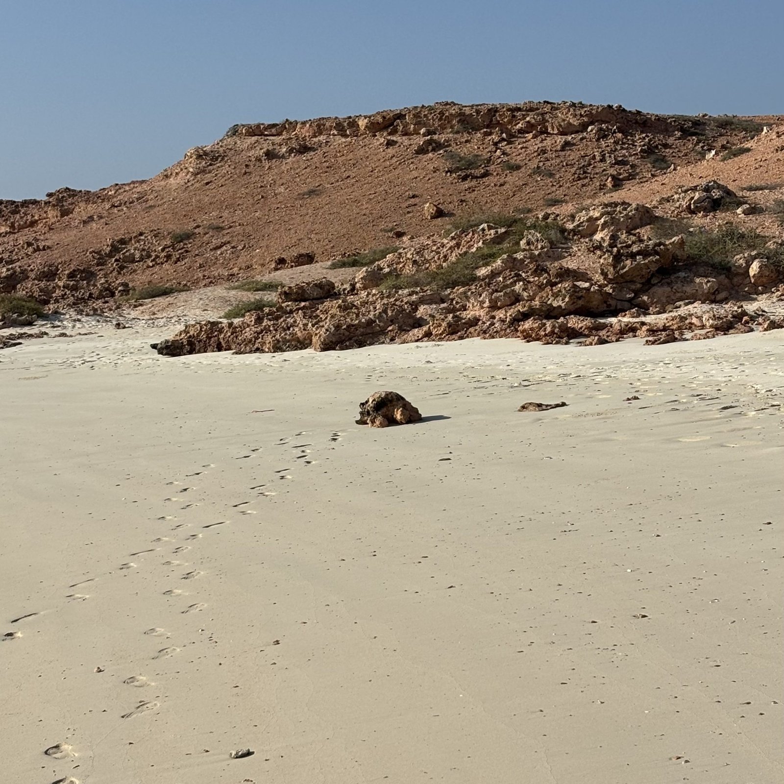 AL Daymaniyat Island Snorkeling Trip (Half Day)