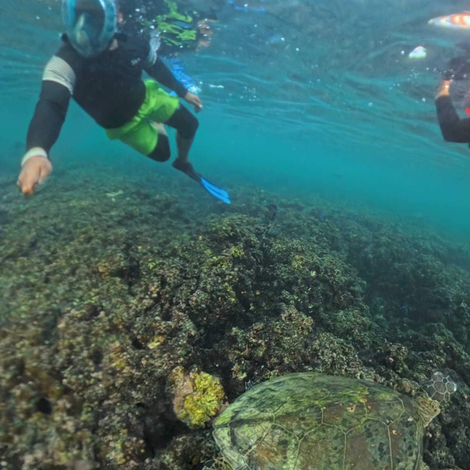 AL Daymaniyat Island Snorkeling Trip (Half Day)