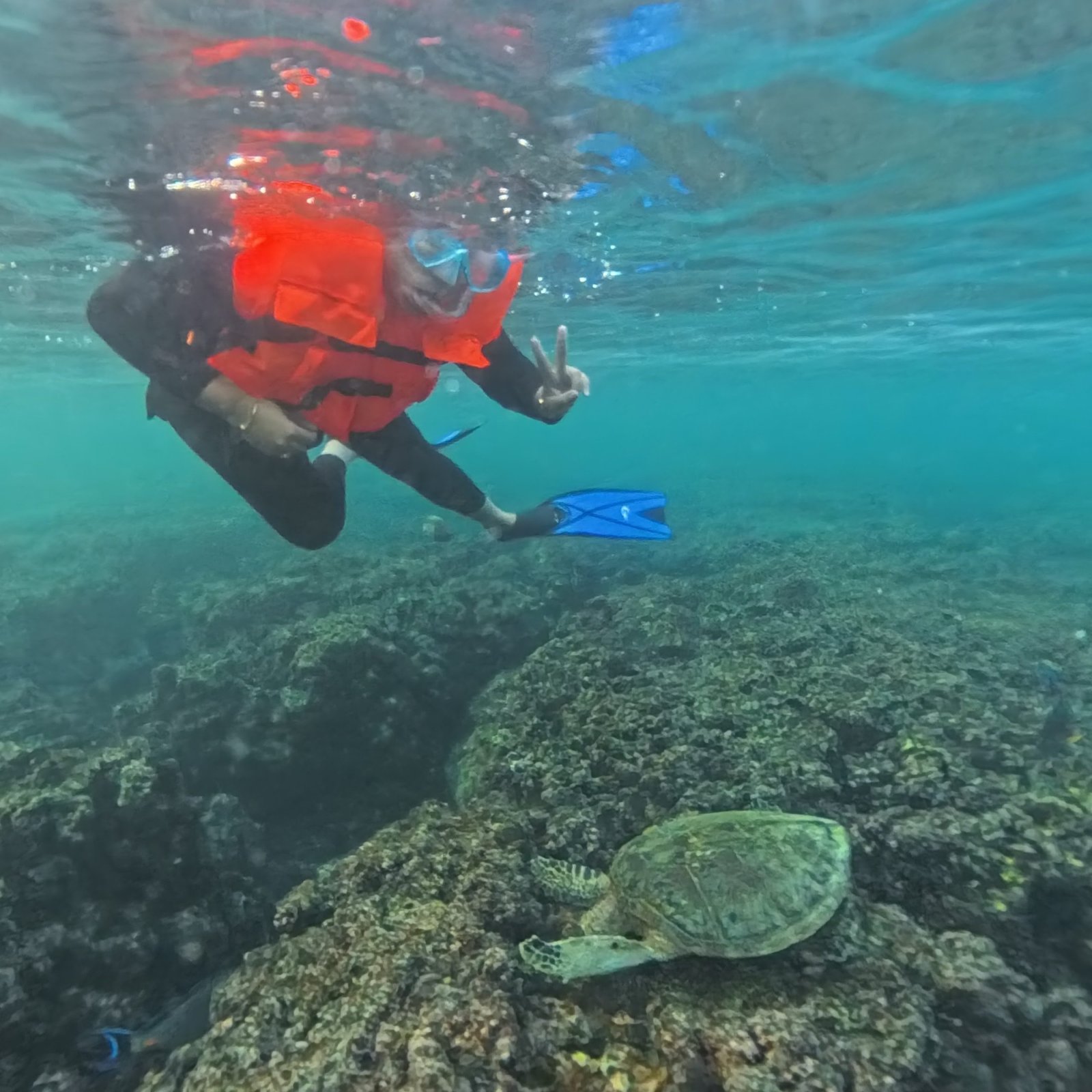 AL Daymaniyat Island Snorkeling Trip (Half Day)