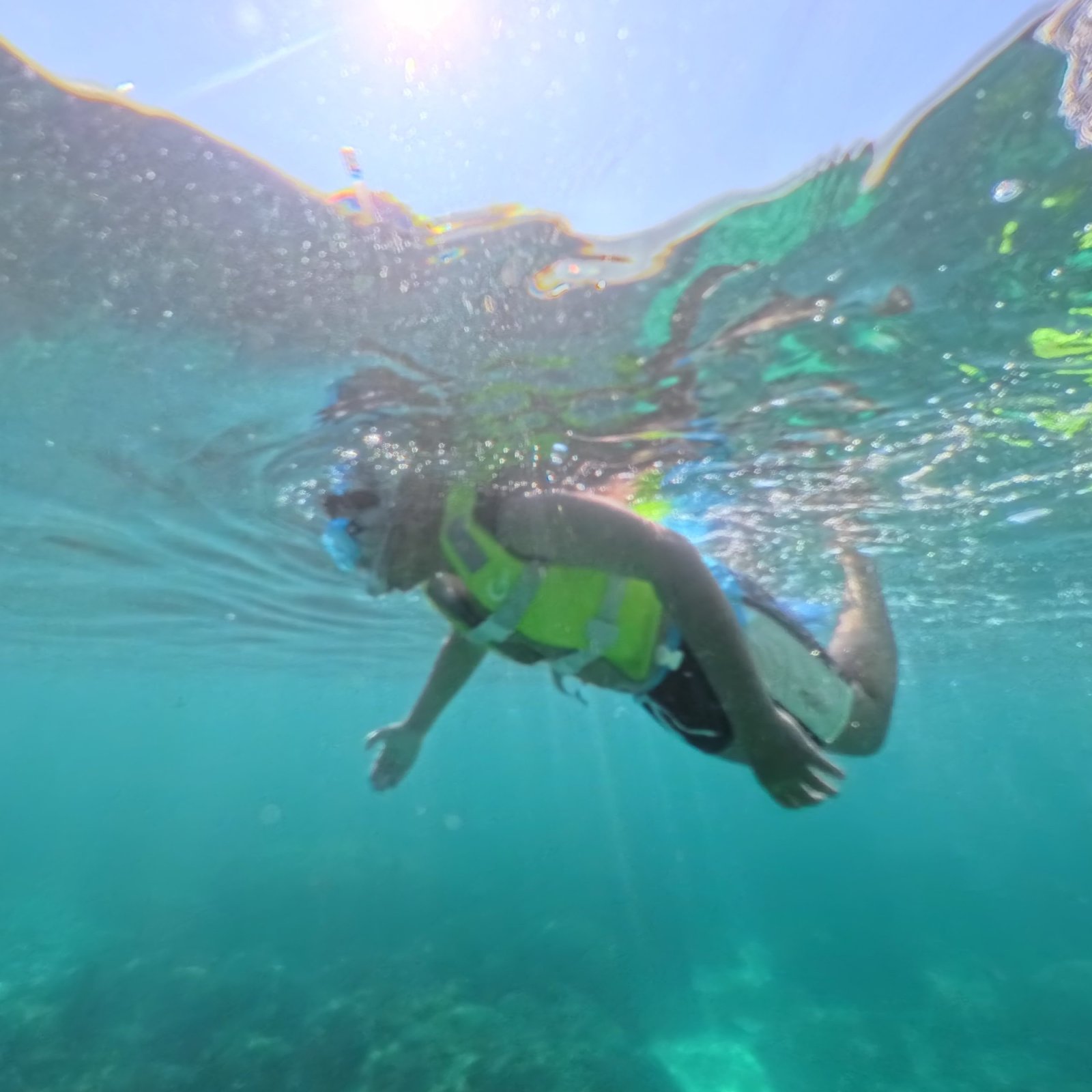 AL Daymaniyat Island Snorkeling Trip (Half Day)